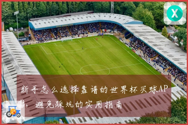 新手怎么选择靠谱的世界杯买球APP，避免踩坑的实用指南