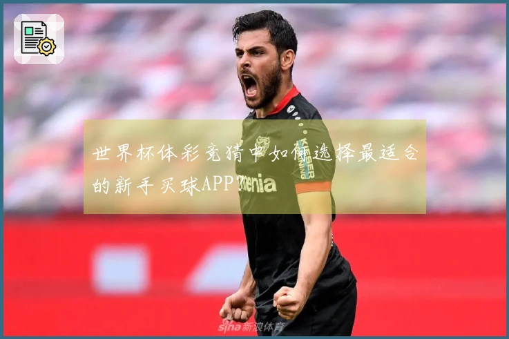 世界杯体彩竞猜中如何选择最适合的新手买球APP？